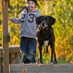 kind und hund