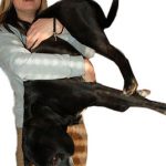 hund-erste-hilfe-ersticken