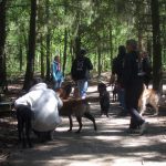 Gruppenspaziergang