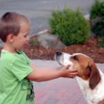 Kind und Hund, Foto: Melanie