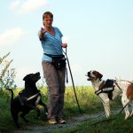 Hunde belohnen, Foto: Melanie
