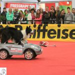 Mensch & Tier 2012