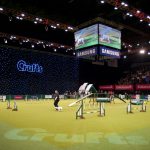 Crufts Dog Show 2013, Fotocredits: onEdition