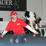Lukas & Falco: Hundeausstellung Graz 2013 - Sonntag