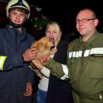 Feuerwehr Ternitz rettet im Zaun feststeckenden Hund