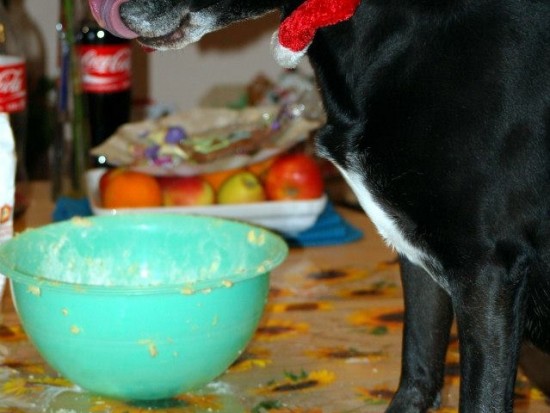 Hundekekse selbst backen Rezept für TofuKekse mit Möhren