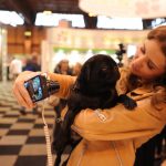 Crufts Mops Martha
