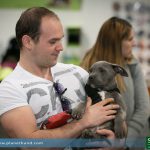 Internationale Hundeausstellung 2014 in Graz