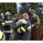 Feuerwehr Voitsberg Hund