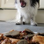 Hundekekse Hunde