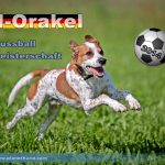 wm orakel 2014