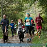Hundelauf Hundesport