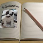 Diabetikerwarnhund Tagebuch