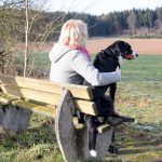 Reportage Hundeerziehung