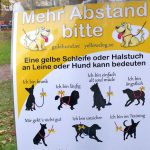 Gelber Hund Gulahund