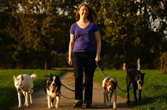 Frau Hund Spaziergang