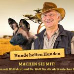 hunde helfen hunden