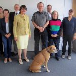 welpenhandel bmel- asso