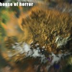 Planet Doghouse Horror Halloween