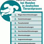 Dagnostizierte Krankheiten bei Hunden