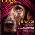 Dogs Award