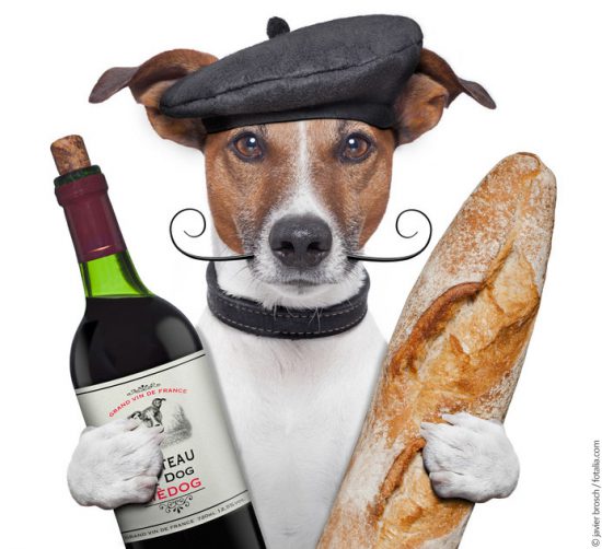 Urlaub mit Hund in Frankreich Hundereisen Hund