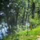 Partnersuche hundehalter