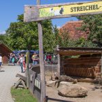 Tierpark Herberstein Hunde