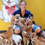 Dog Care Clinic Sri Lanka Straßenhunde