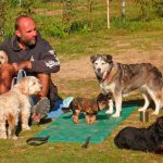 Camping mit Hunde in Salzburg