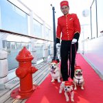 Hunde auf Kreuzfahrt mit der Queen Mary 2