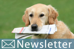 Planet Hund Newsletter