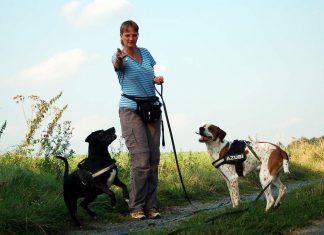 Beziehungsänderung zwischen Halter und Hund Hunde bekommen Leckerlies, Foto: Melanie