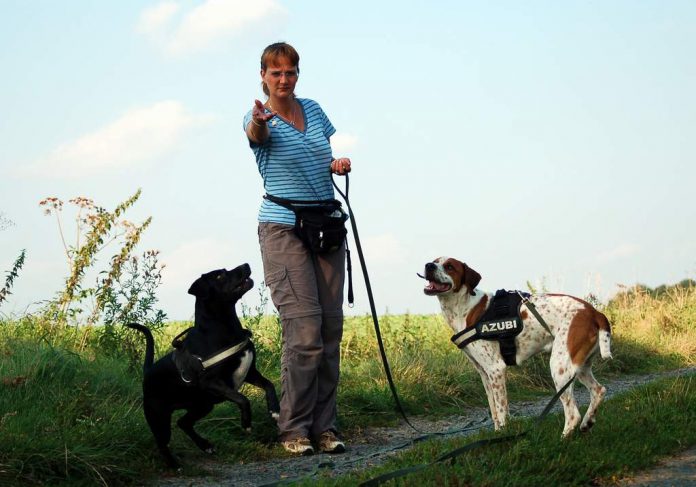 Hunde bekommen Leckerlies, Foto: Melanie