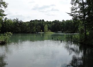 Urlaub Quitzdorfer See