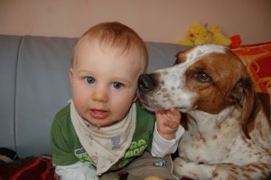 Baby und Hund Hund schleckt Baby
