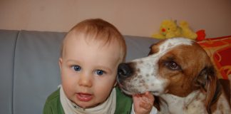 Baby und Hund, Foto: Melanie 