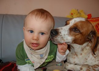 Baby und Hund, Foto: Melanie 