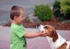 Kind und Hund, Foto: Melanie