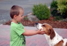 Kind und Hund, Foto: Melanie