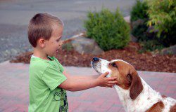 Kind und Hund, Foto: Melanie