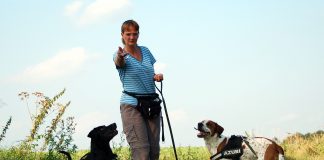 Hunde belohnen, Foto: Melanie