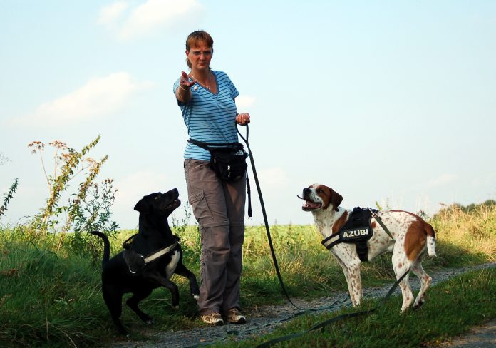 Hunde belohnen, Foto: Melanie