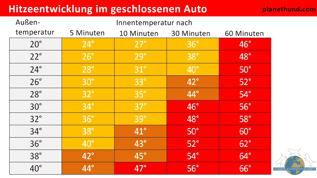 Die Grafik zeigt die Hitzeentwicklung in einem geschlossenen Auto abhängig von der Außentemperatur. Hat es draußen ab 20 Grad, droht dem eingeschlossenem Hund im Auto bereits der Tod!