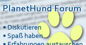 hundeforum