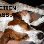 Beispielbild für Wetten dass, Foto: Melanie