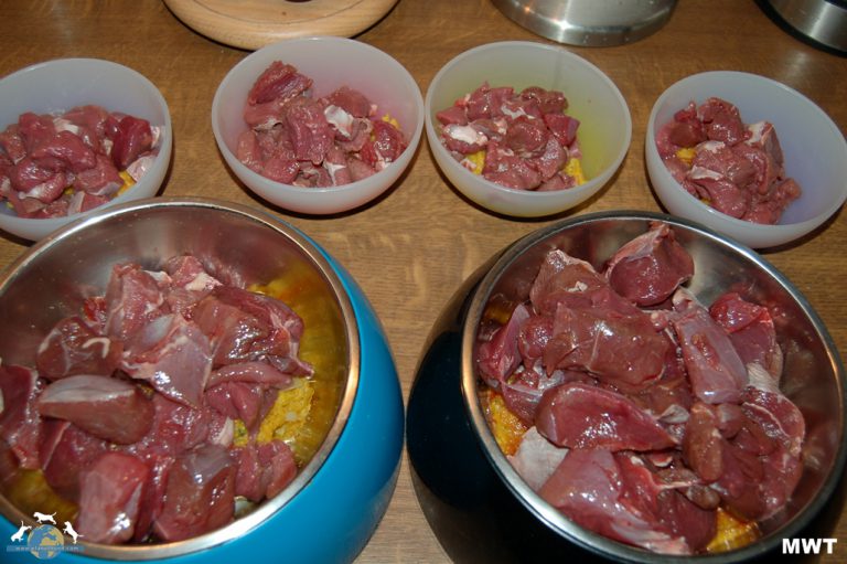 BARF Rohfütterung für Hunde richtig gemacht Ernährung Hund