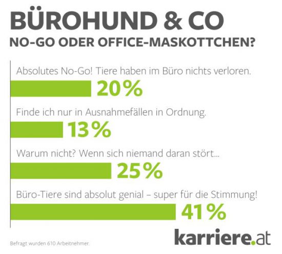 Hund Büro Umfrage