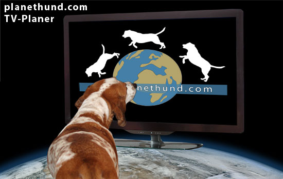 Tiersendungen Hunde Im Tv Planet Hund