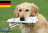 Planet Hund News Deutschland